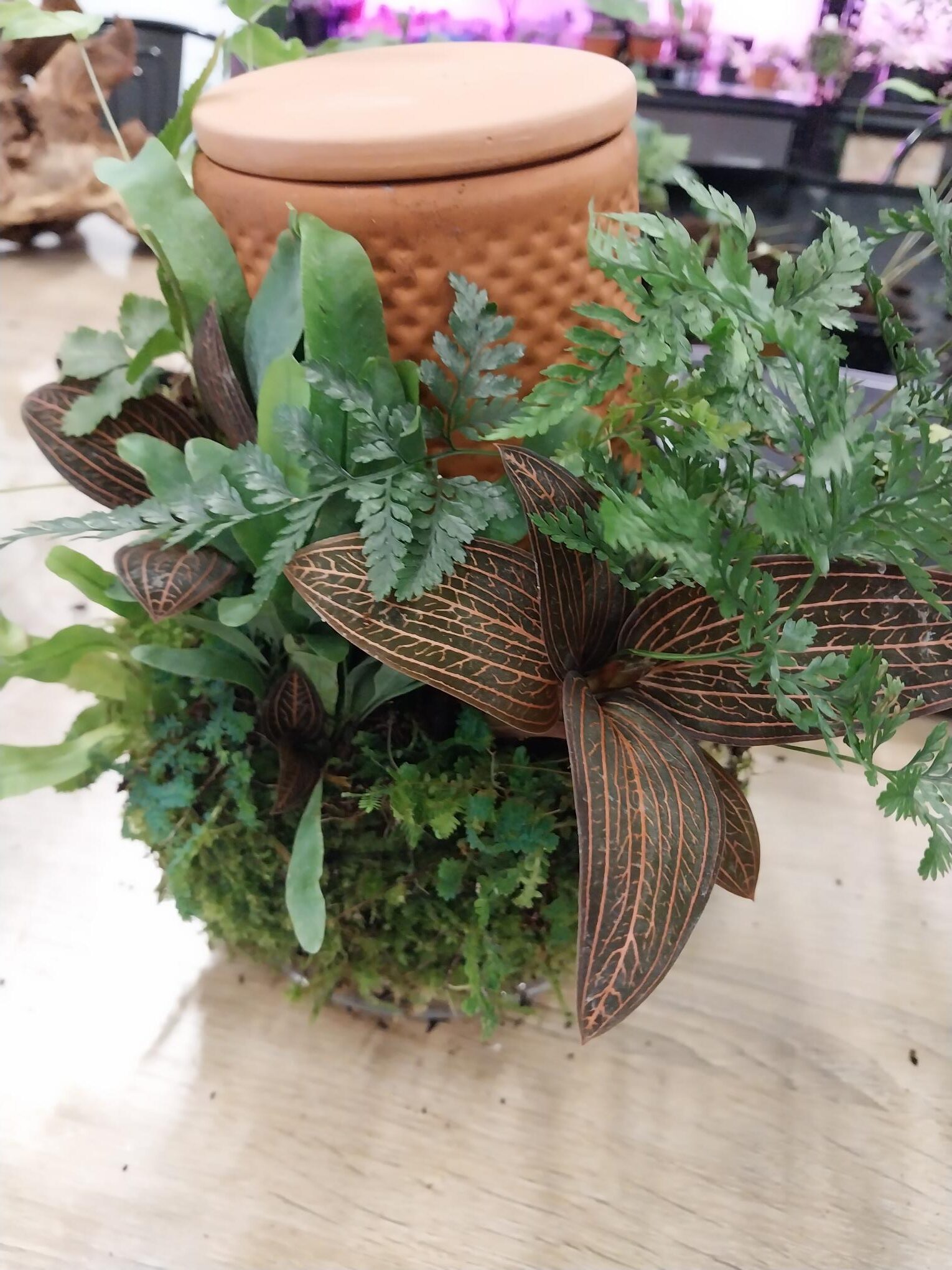 Kath O’Brien - Image 3