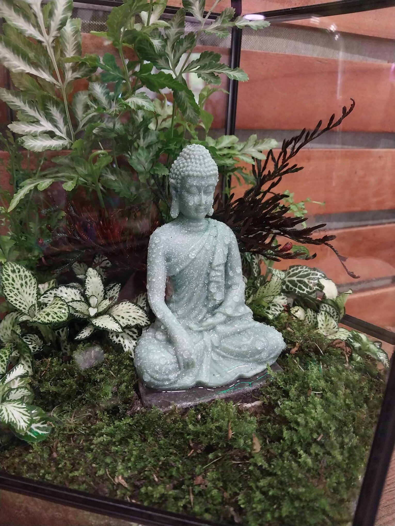 Kath O’Brien - Image 4