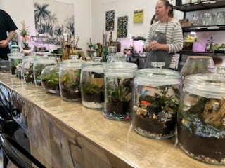 Kath O’Brien - Image 5