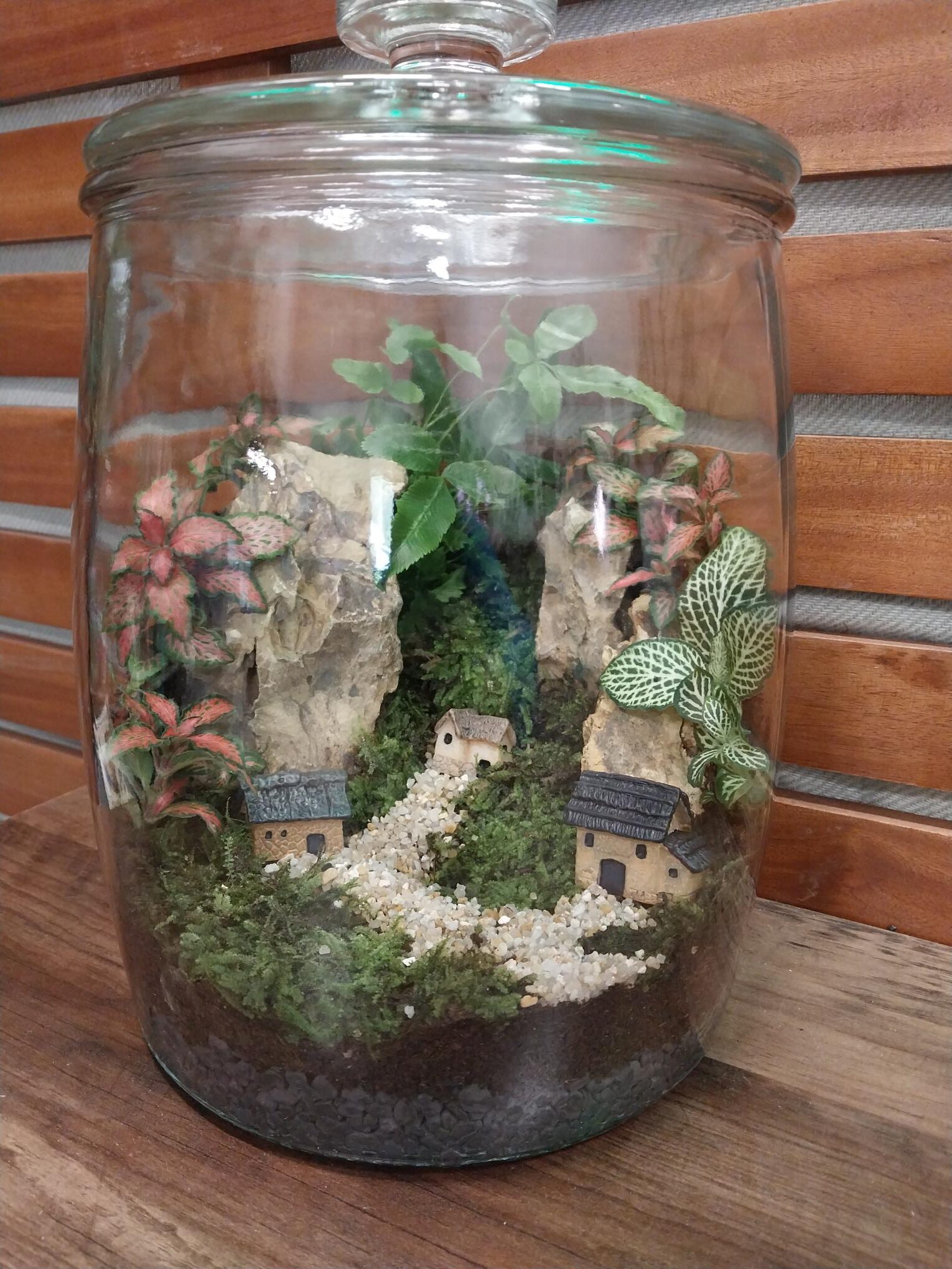 Kath O’Brien - Image 6