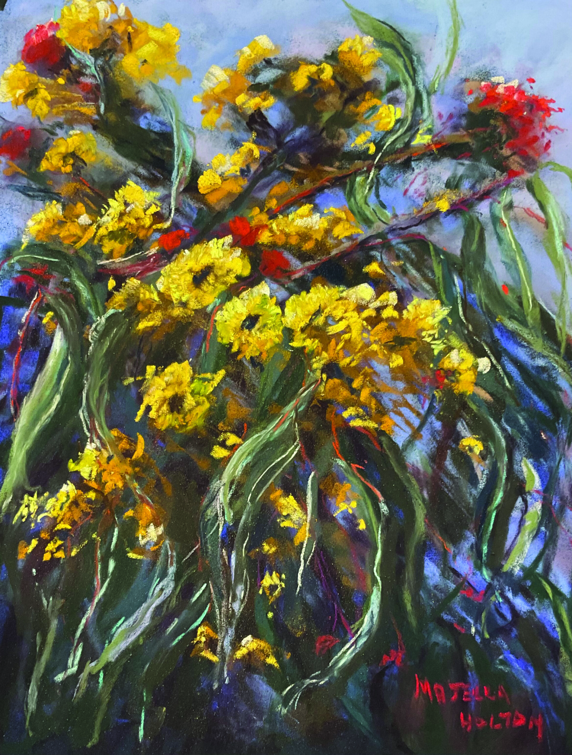 Majella Holton - Image 2