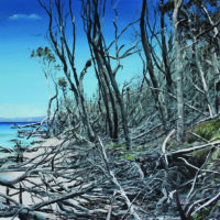 Gabi Mika-McNaughton